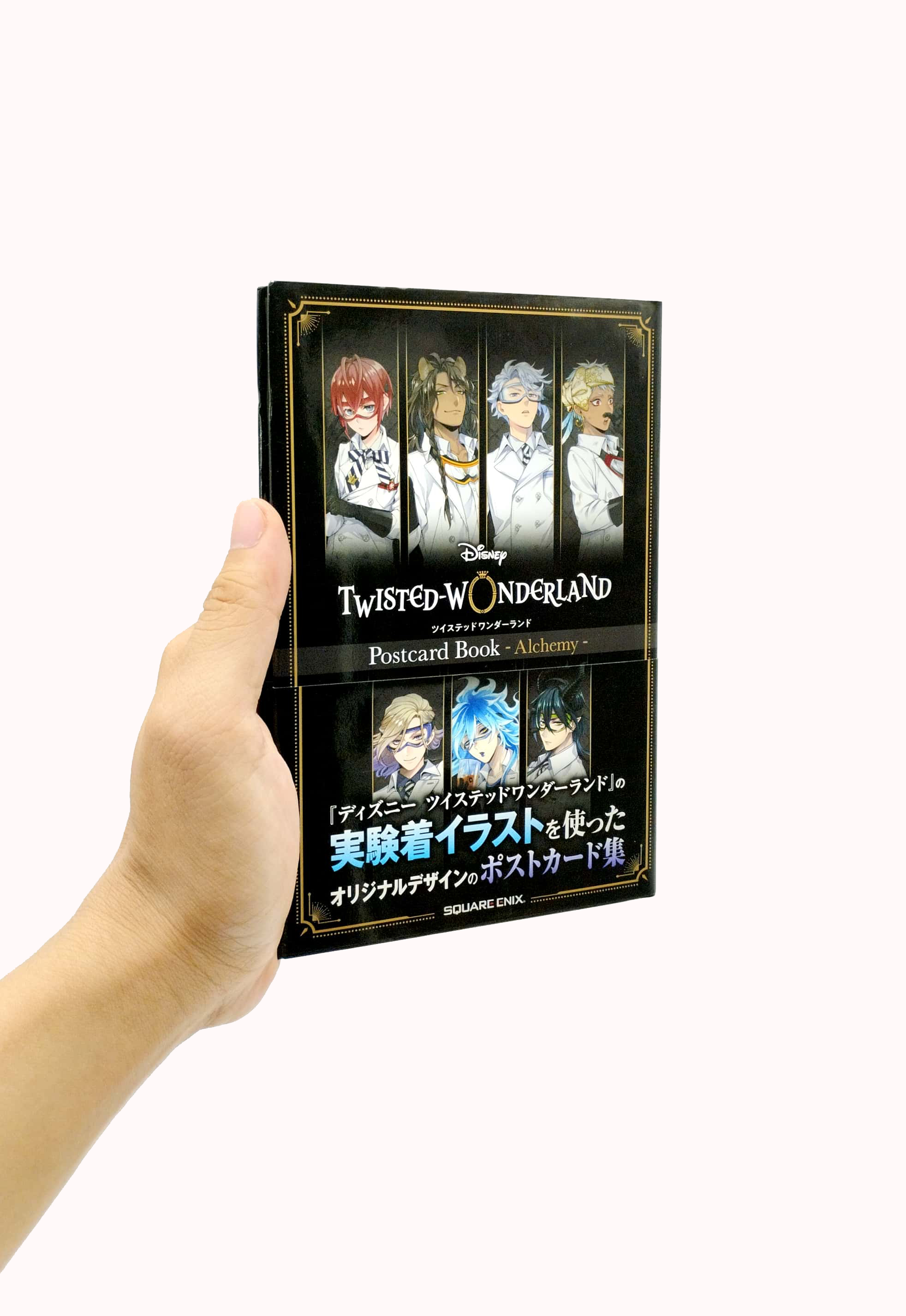 『ディズニー ツイステッドワンダーランド』ポストカードブック - alchemy - Ảnh 7