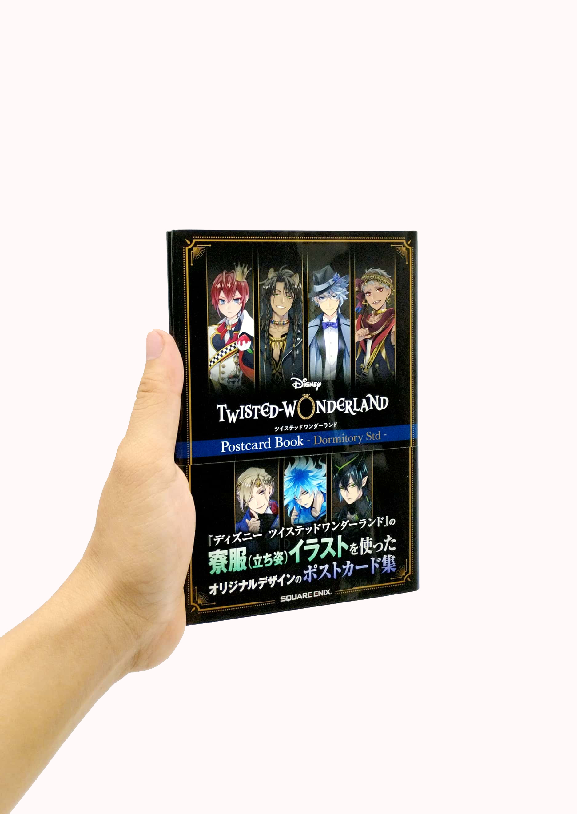 『ディズニー ツイステッドワンダーランド』ポストカードブック - dormitory std - tsuisuteddowandarandoposuto dor - Ảnh 7