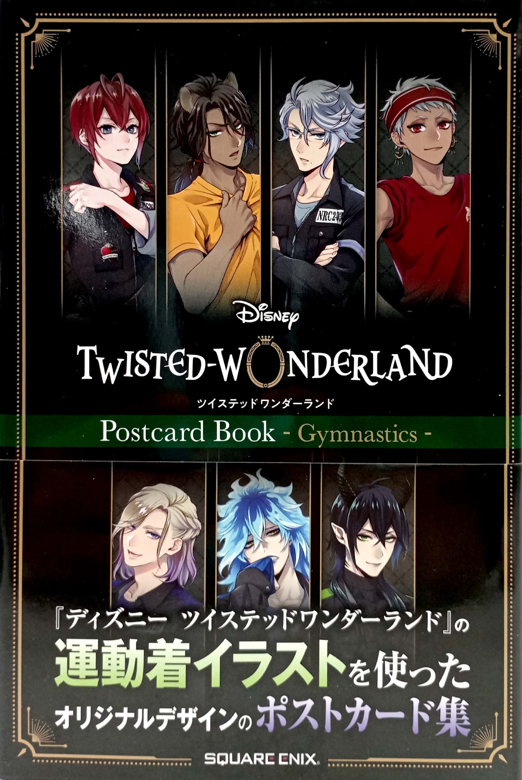 ディズニー ツイステッドワンダーランド』ポストカードブック - gymnastics - Ảnh 2