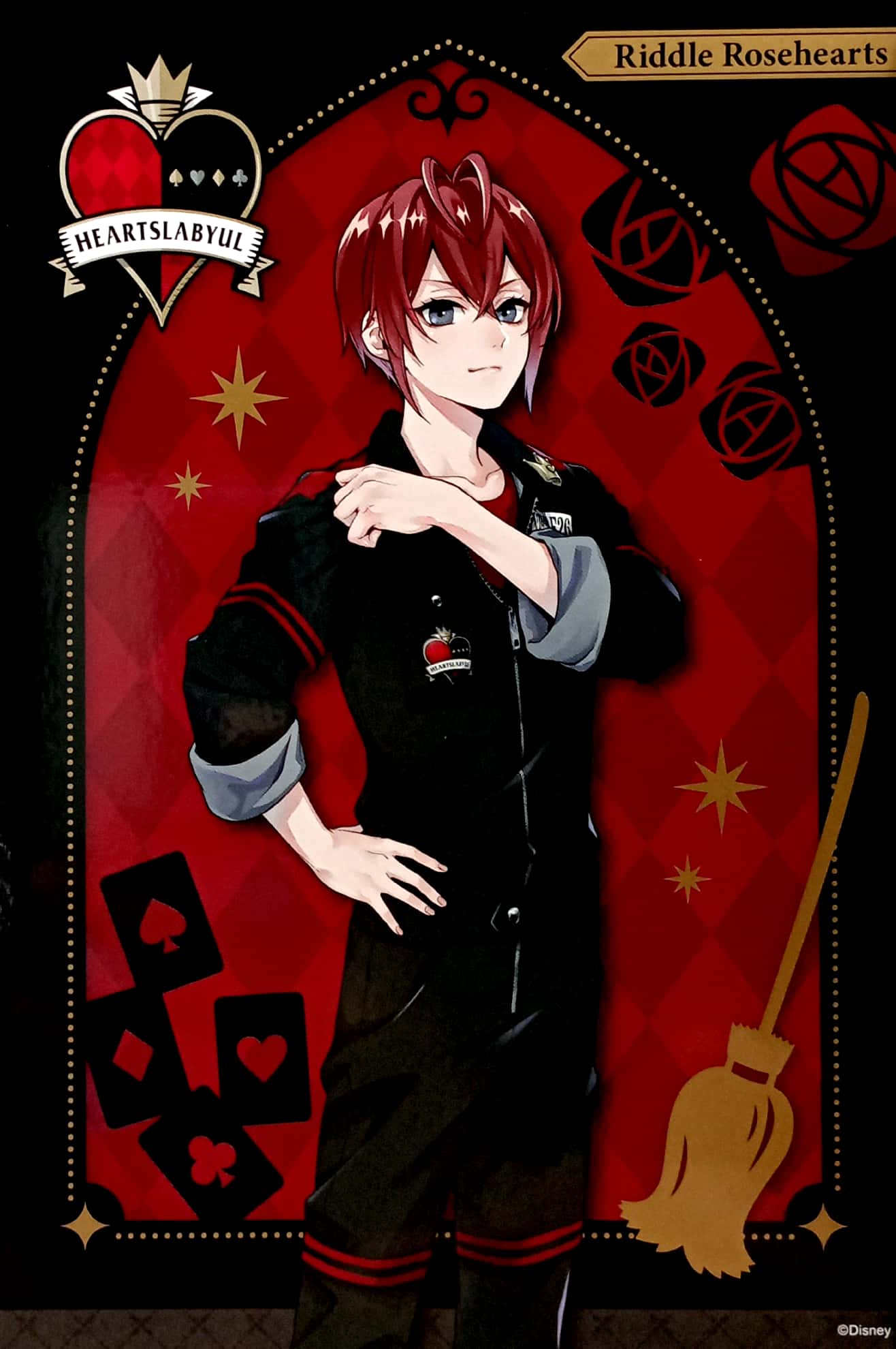 ディズニー ツイステッドワンダーランド』ポストカードブック - gymnastics - Ảnh 3