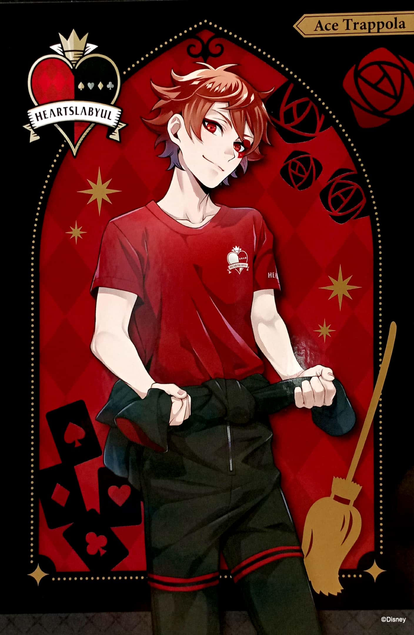 ディズニー ツイステッドワンダーランド』ポストカードブック - gymnastics - Ảnh 4