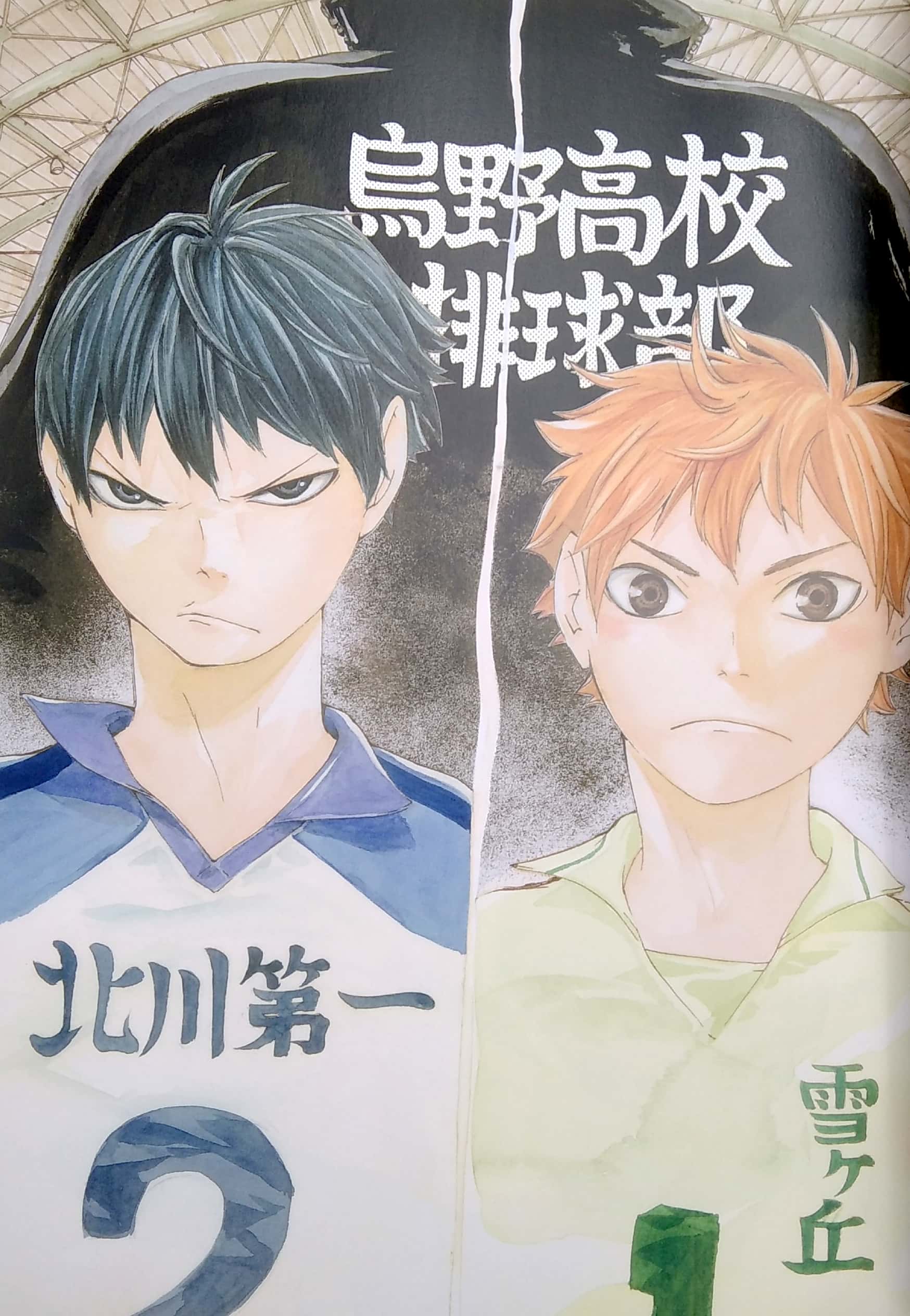 ハイキュー!! complete illustration book 終わりと始まり (愛蔵版コミックス) - Ảnh 5