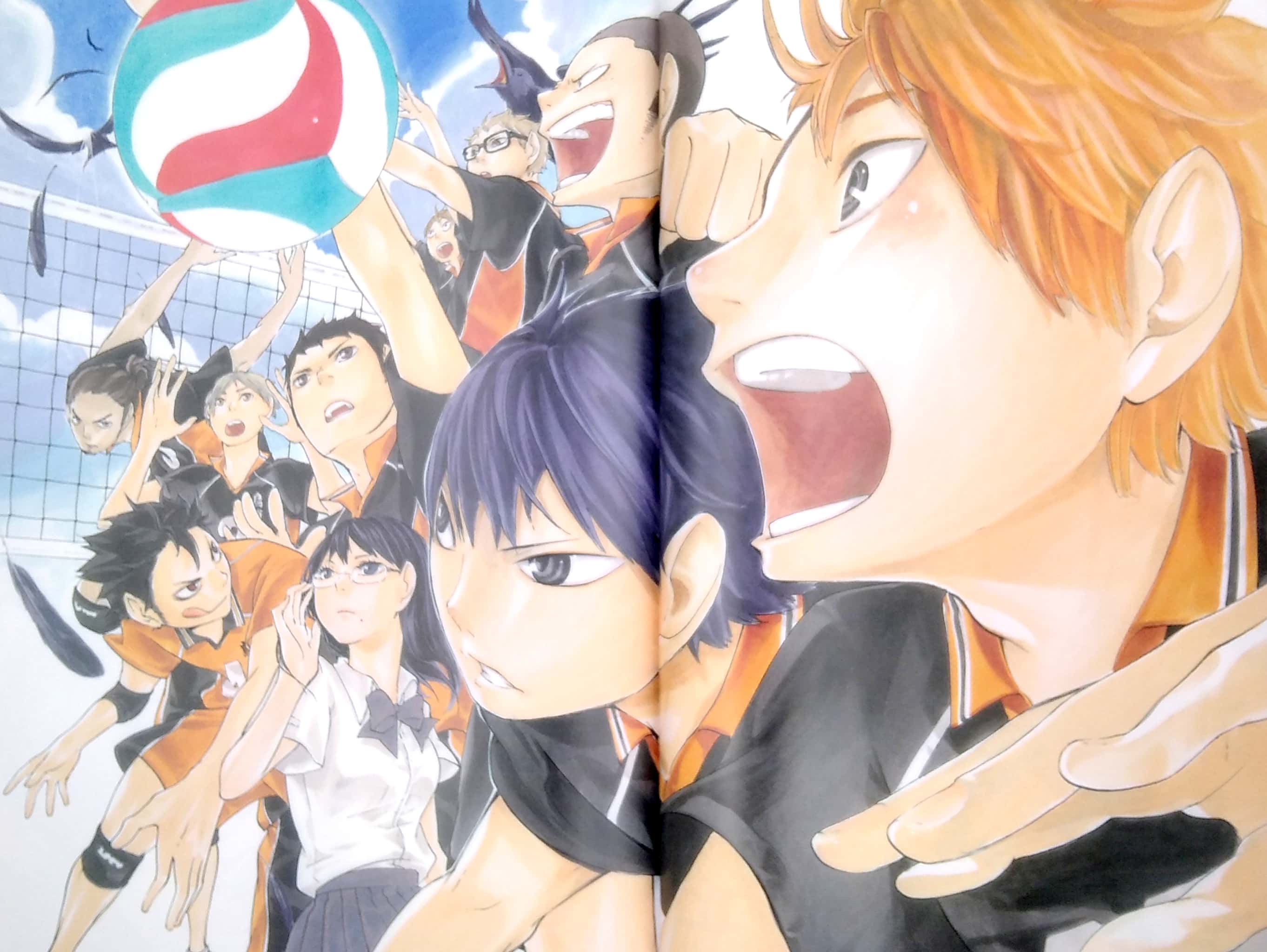 ハイキュー!! complete illustration book 終わりと始まり (愛蔵版コミックス) - Ảnh 6