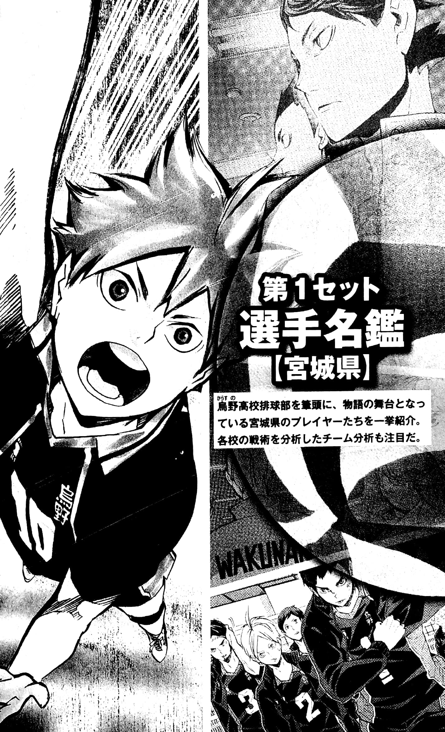 ハイキュー!! コンプリートガイドブック 排球本! - haikyuu!! complete guidebook volleyball book! - Ảnh 4