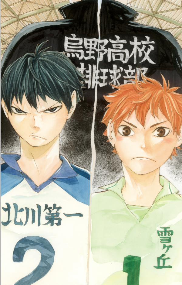 ハイキュー!!公式カラーイラスト集ハイカ jeishi haikyuu ! ! koushiki kara irasuto - Ảnh 9