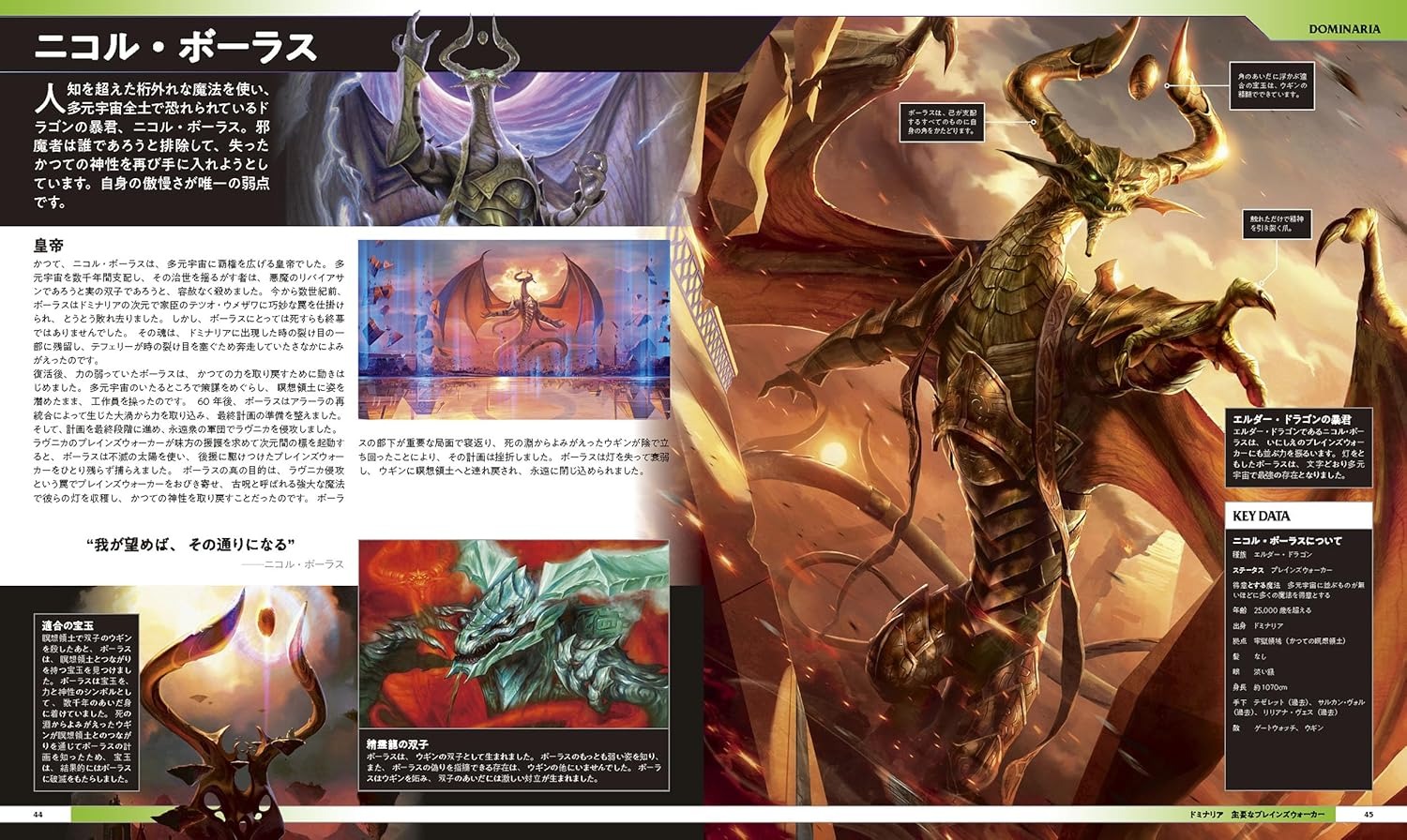 マジック:ザ・ギャザリング ビジュアルガイドブック - Magic: The Gathering Visual Guidebook - Ảnh 5