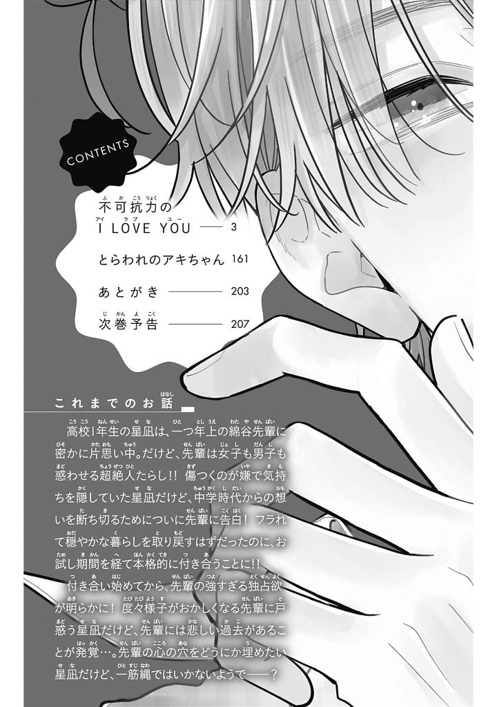 不可抗力のi love you 2 - fukakouryoku no i love you 2 - Ảnh 3