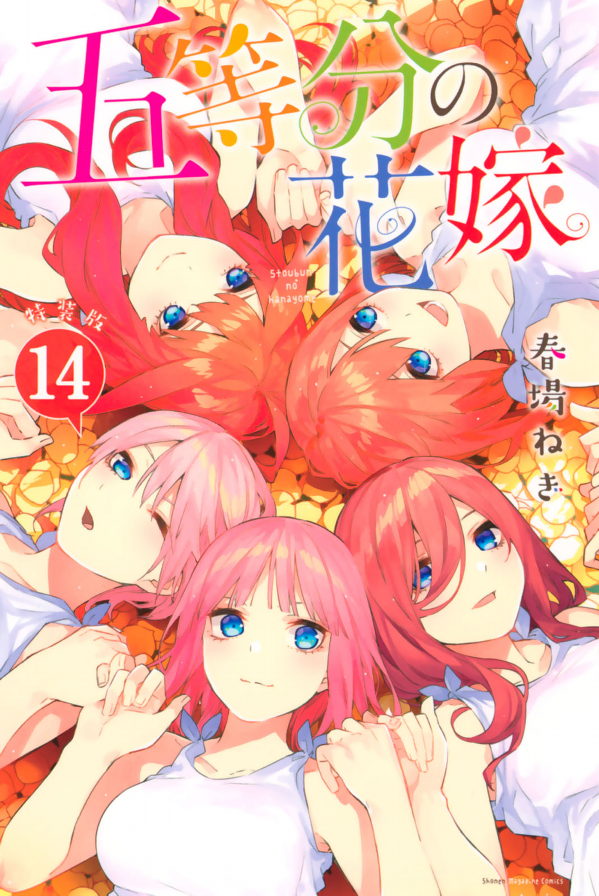 五等分の花嫁(14)特装版 (プレミアムkc) go toubun no hanayome toku sou 14 - Ảnh 2