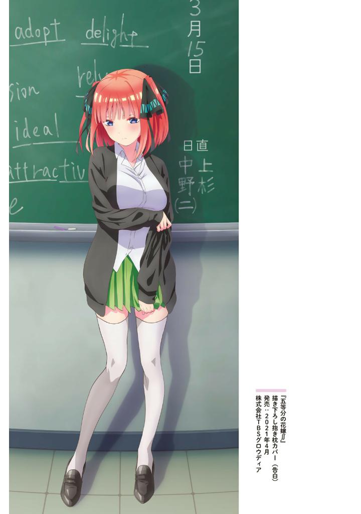 五等分の花嫁 ANIME VISUAL BOOK 二乃 - Nino Go Toubun No Hanayome Anime - Ảnh 8