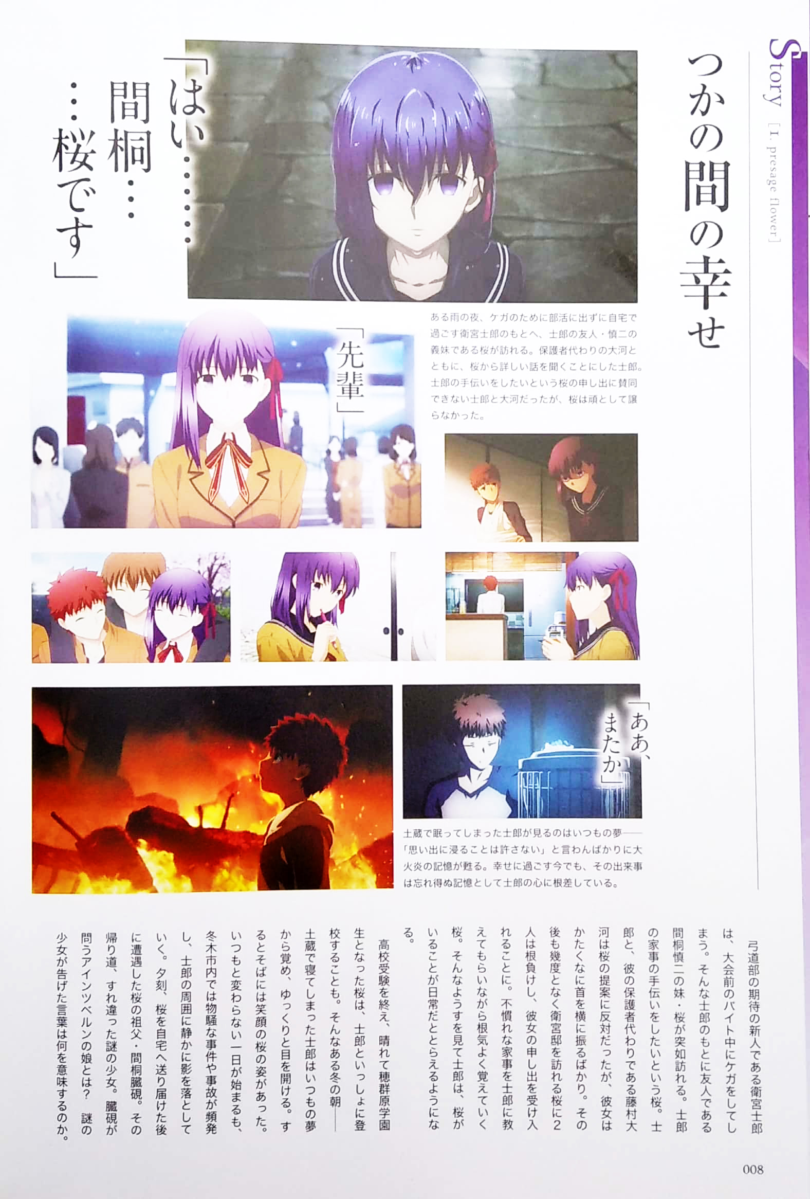 劇場版「fate/stay night [heaven's feel]」 アニメビジュアルガイド - fate/stay night heaven's feel anime visual guide - Ảnh 4