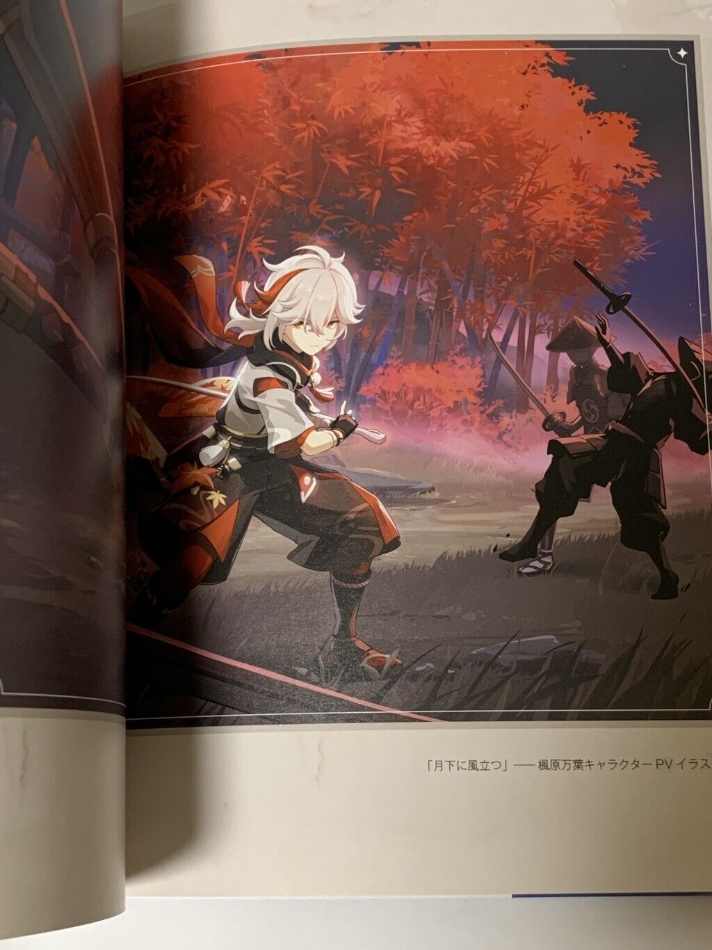 原神イラスト集 1 - genshin illustration collection vol. 1 - Ảnh 9