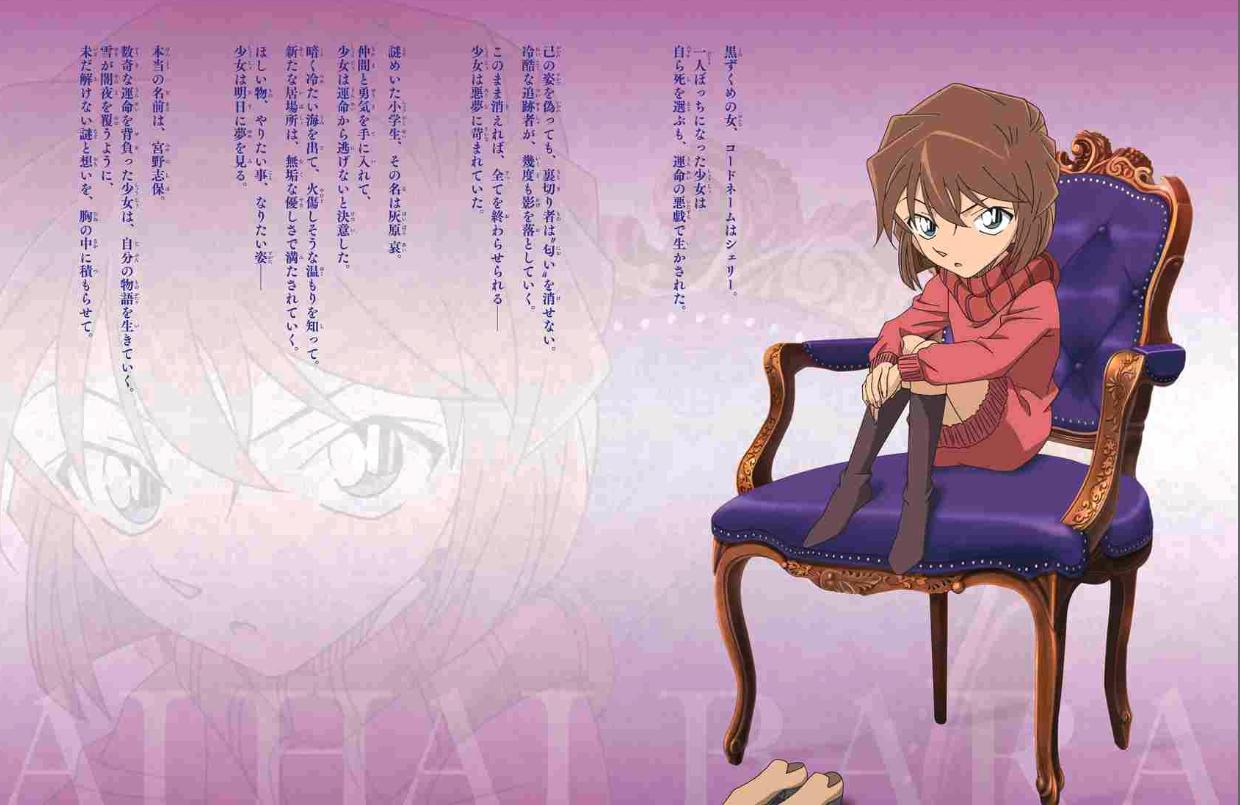 名探偵コナン 灰原 哀シークレットアーカイブス: 少年サンデーグラフィック - detective conan: secret archives ai haibara - Ảnh 3