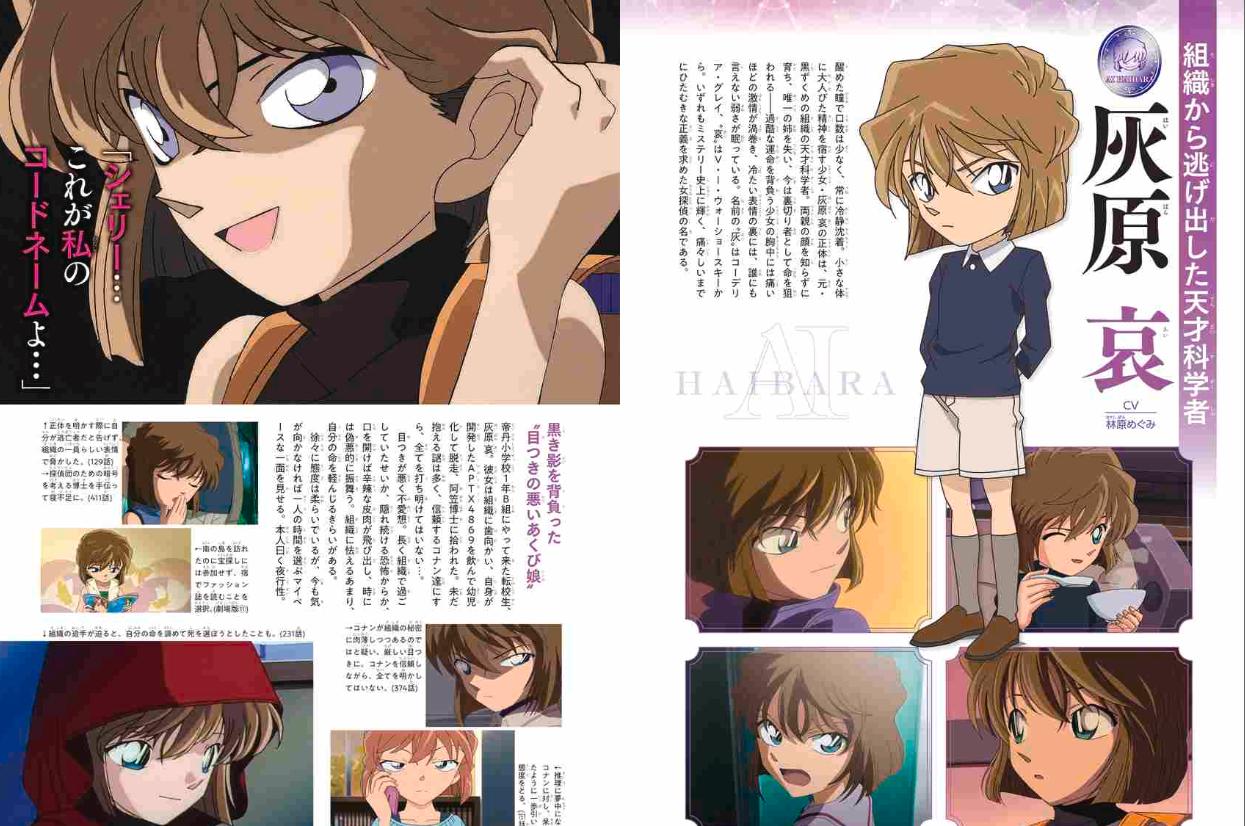 名探偵コナン 灰原 哀シークレットアーカイブス: 少年サンデーグラフィック - detective conan: secret archives ai haibara - Ảnh 5