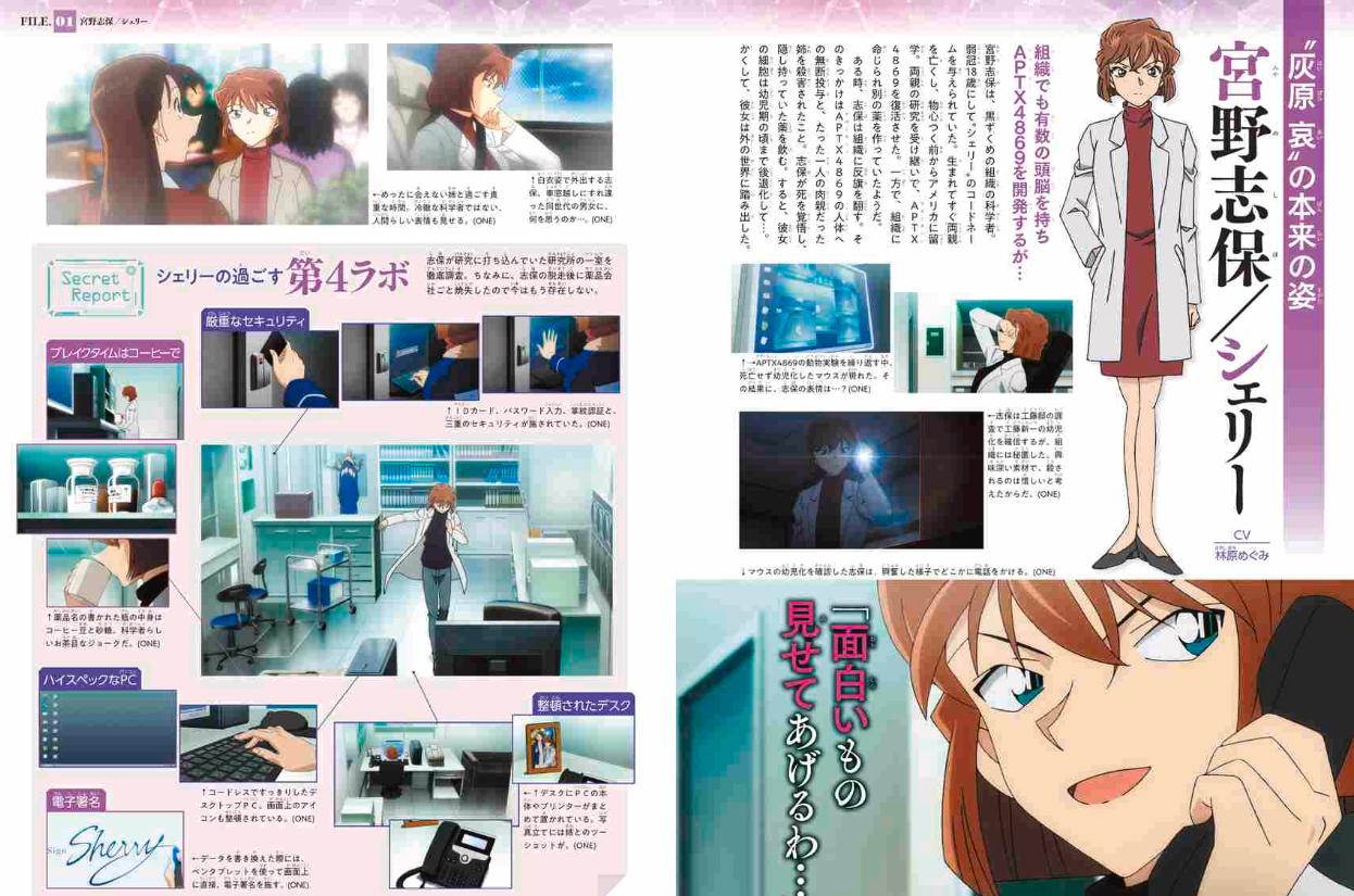 名探偵コナン 灰原 哀シークレットアーカイブス: 少年サンデーグラフィック - detective conan: secret archives ai haibara - Ảnh 8