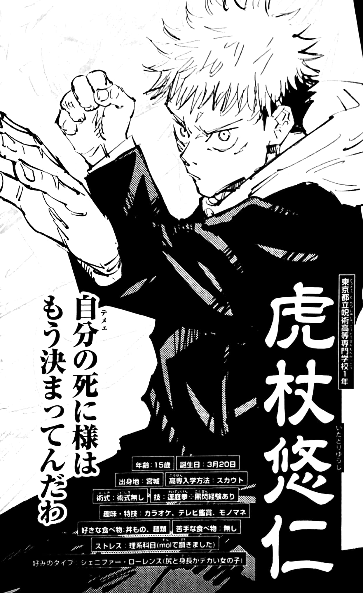 呪術廻戦 公式ファンブック - jujutsu kaisen official fan book - Ảnh 4