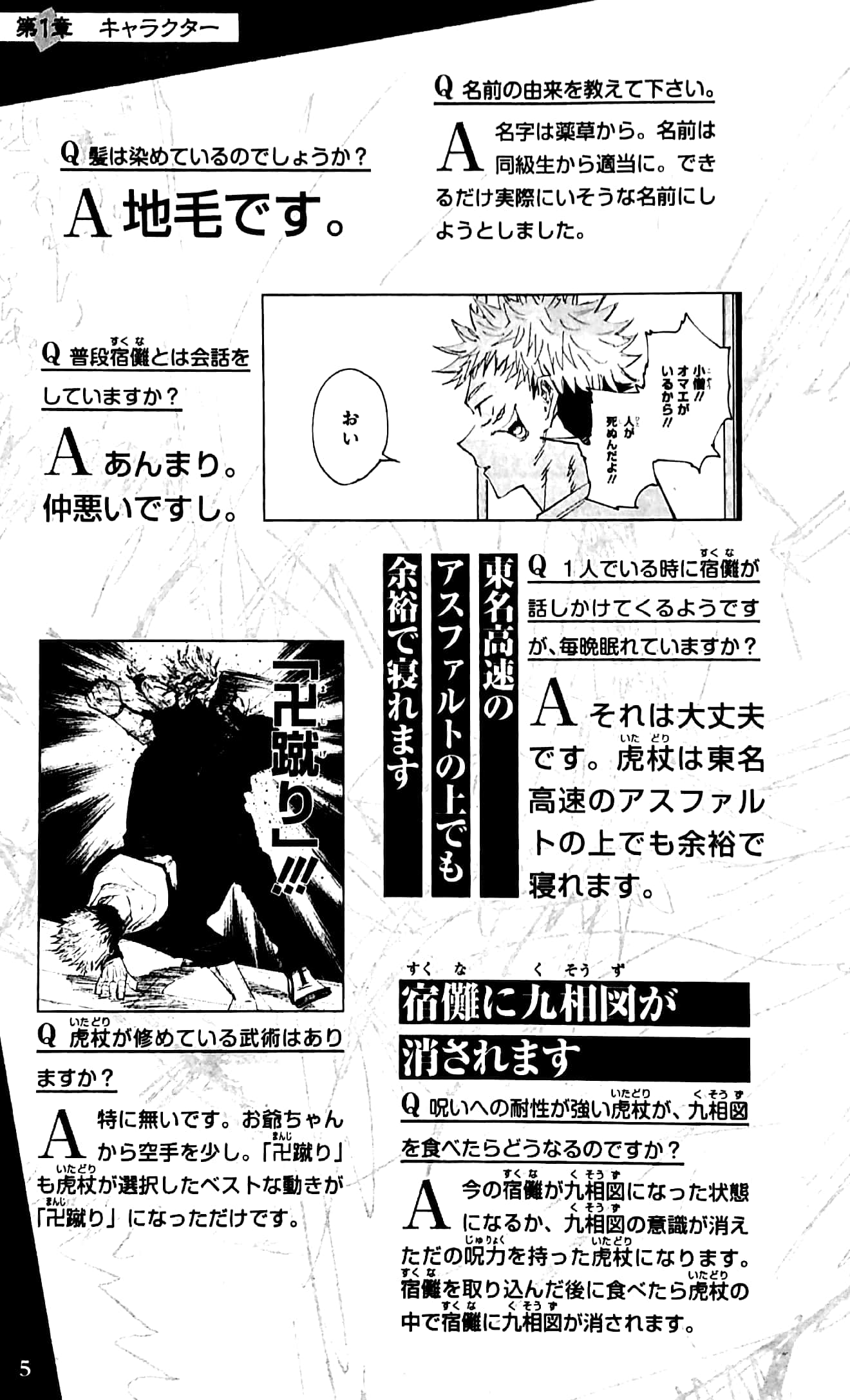 呪術廻戦 公式ファンブック - jujutsu kaisen official fan book - Ảnh 5