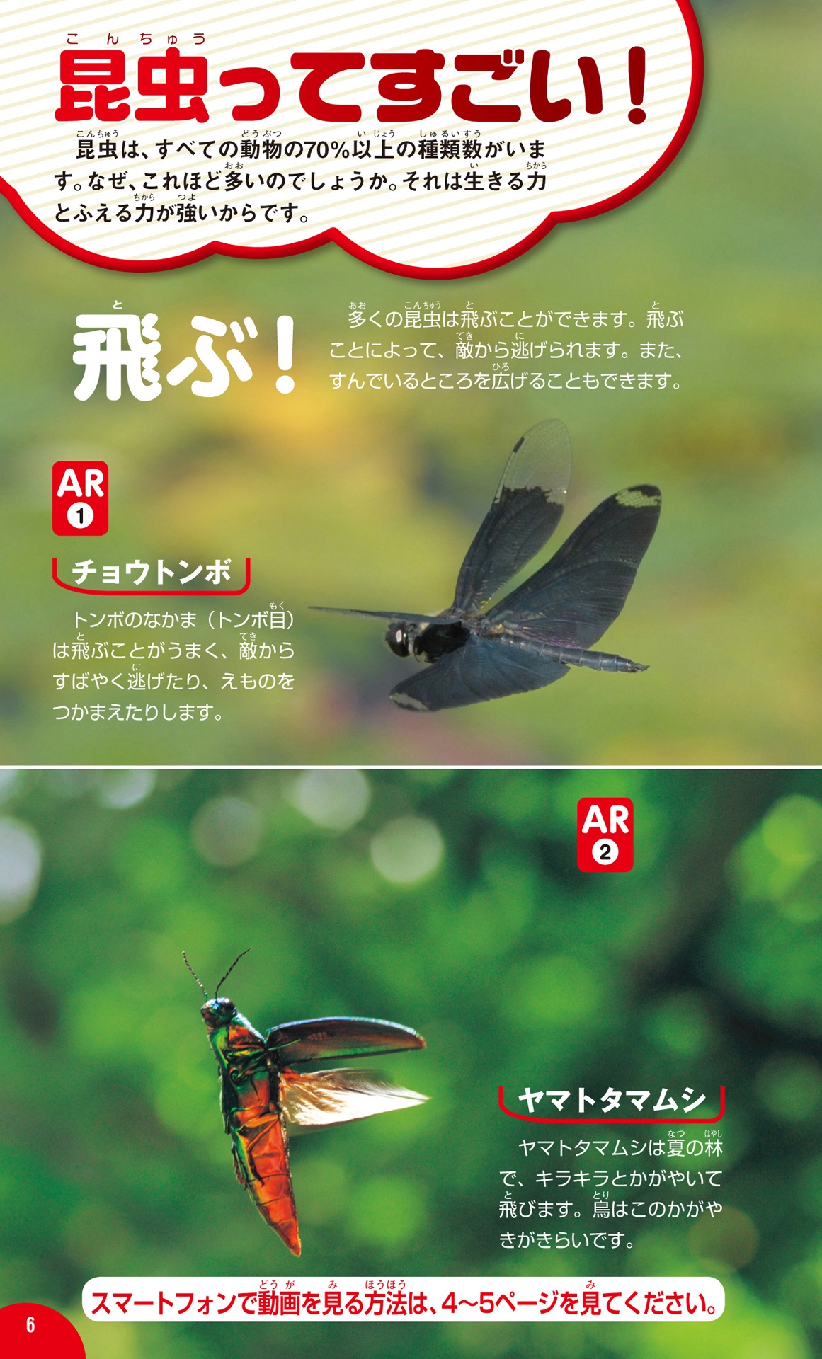 学研の図鑑live(ライブ)ポケット1 昆虫 konchuu - Ảnh 13