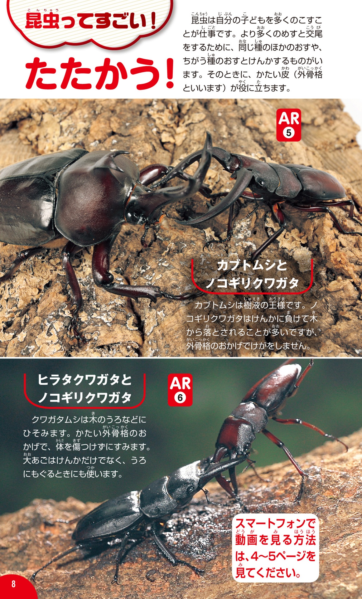 学研の図鑑live(ライブ)ポケット1 昆虫 konchuu - Ảnh 15