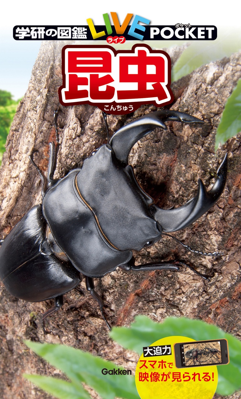 学研の図鑑live(ライブ)ポケット1 昆虫 konchuu - Ảnh 2