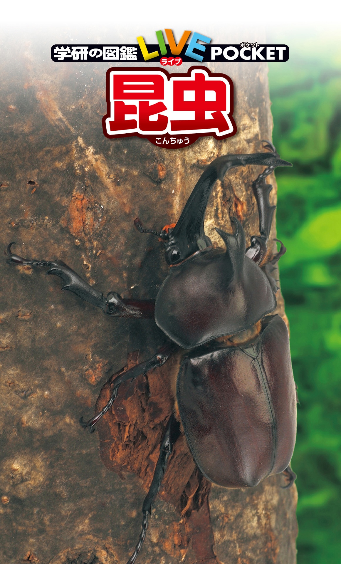 学研の図鑑live(ライブ)ポケット1 昆虫 konchuu - Ảnh 8