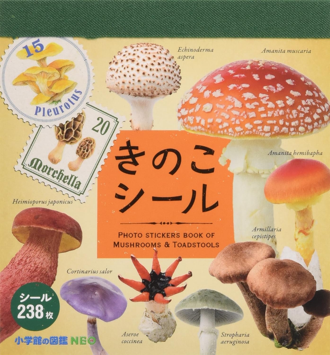小学館の図鑑neo きのこシール - kinoko sticker - Ảnh 2