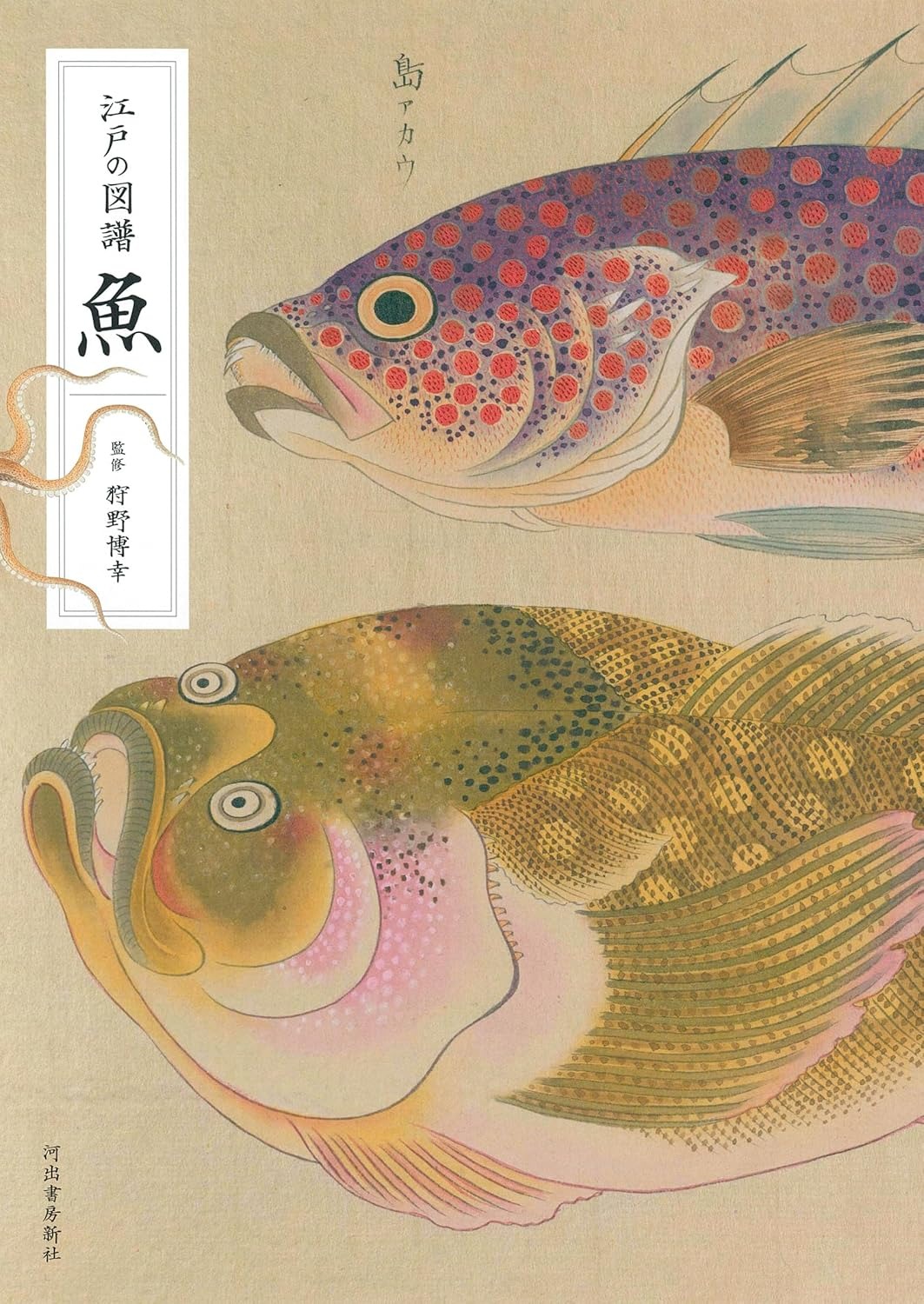 江戸の図譜 魚 - Edo No Zufu Sakana - Ảnh 2