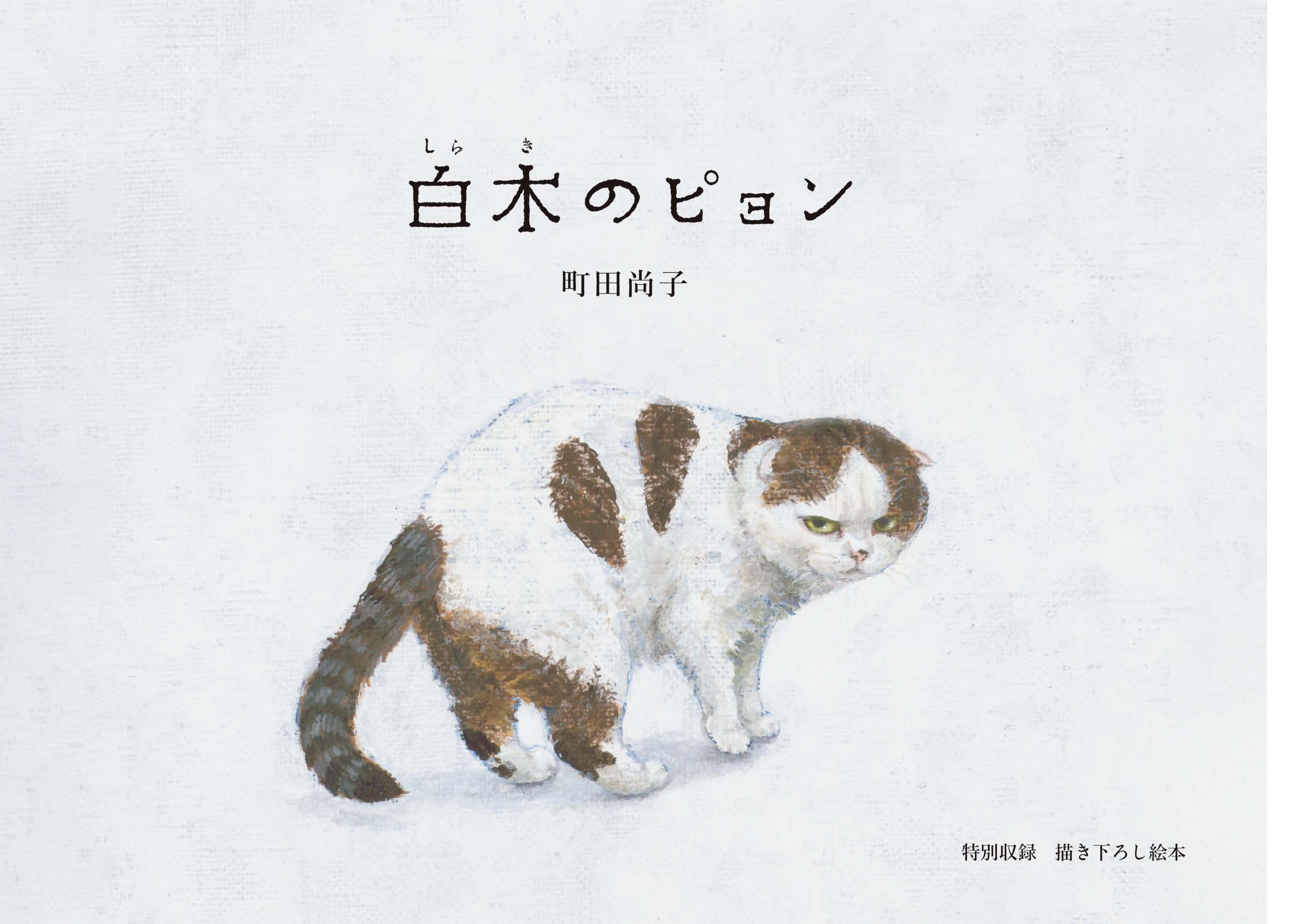 町田尚子画集 隙あらば猫 - sukiaraba neko machida hisako gashu - Ảnh 7