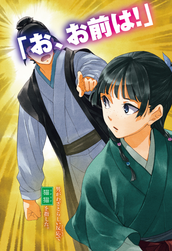 薬屋のひとりごと 10 - the apothecary diaries 10 (light novel) - Ảnh 4