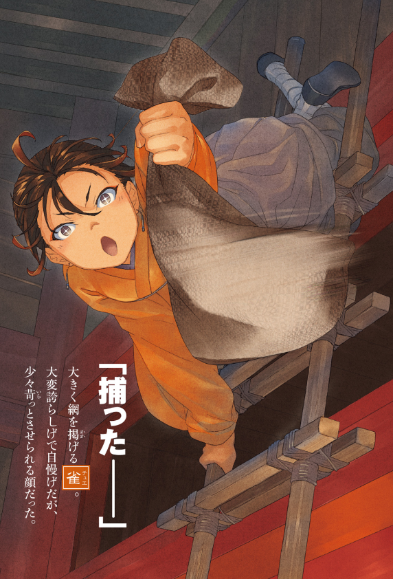 薬屋のひとりごと 10 - the apothecary diaries 10 (light novel) - Ảnh 5