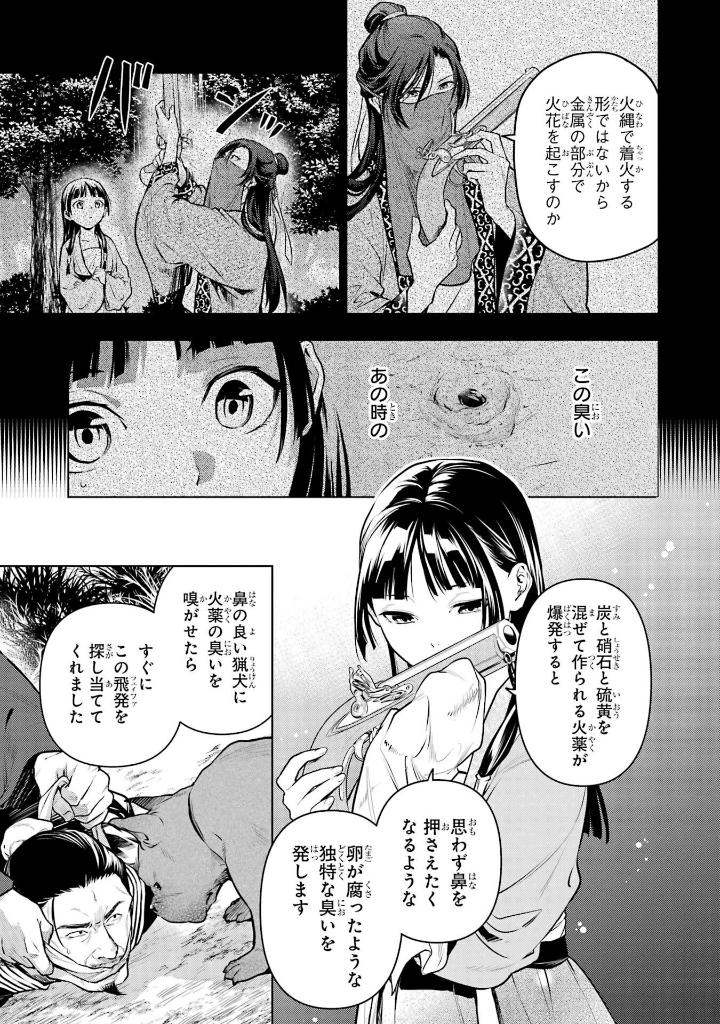 薬屋のひとりごと 13 - kusuriya no hitorigoto - the apothecary diaries 13 - Ảnh 11