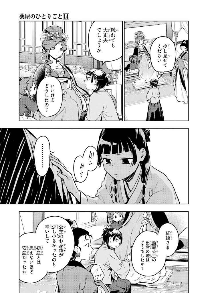 薬屋のひとりごと 14 - kusuriya no hitorigoto 14 - Ảnh 6