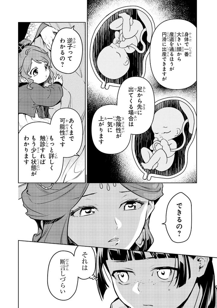 薬屋のひとりごと 14 - kusuriya no hitorigoto 14 - Ảnh 9