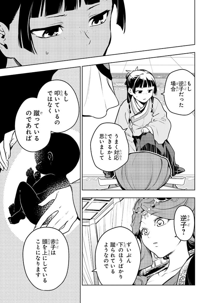 薬屋のひとりごと- kusuriya no hitorigoto - the apothecary diaries 14 (special edition) - Ảnh 10