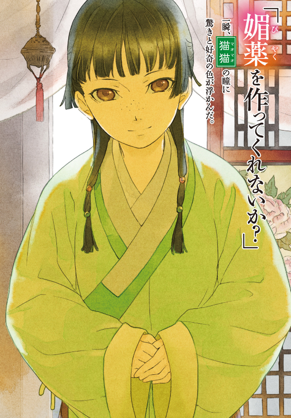 薬屋のひとりごと - the apothecary diaries (light novel) - Ảnh 3