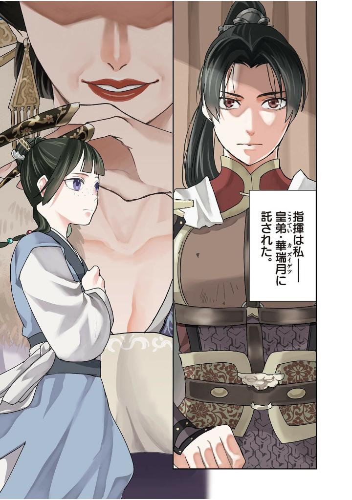 薬屋のひとりごと~猫猫の後宮謎解き手帳~ 18 - kusuriya no hitorigoto - maomao no koukyuu nazotoki techou 18 - Ảnh 4