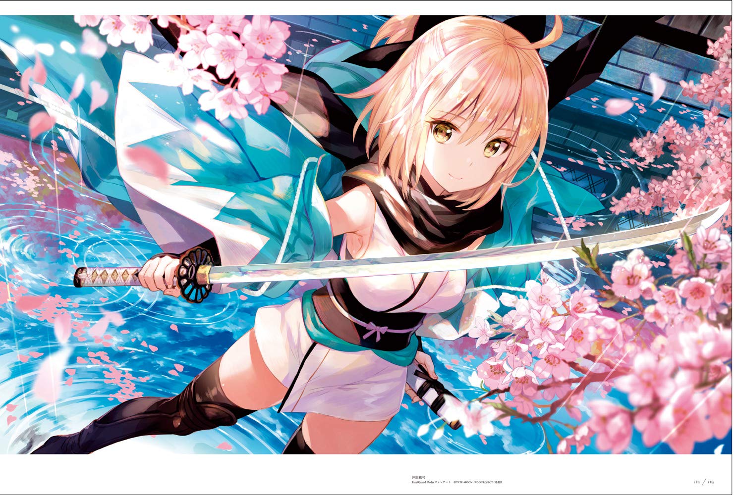 藤ちょこ画集 彩幻境 (日本語) fuji choko gashuu aya maboroshi sakai - Ảnh 11