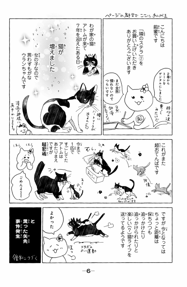 隣のステラ - tonari no stella - stella next to me 2 - Ảnh 13