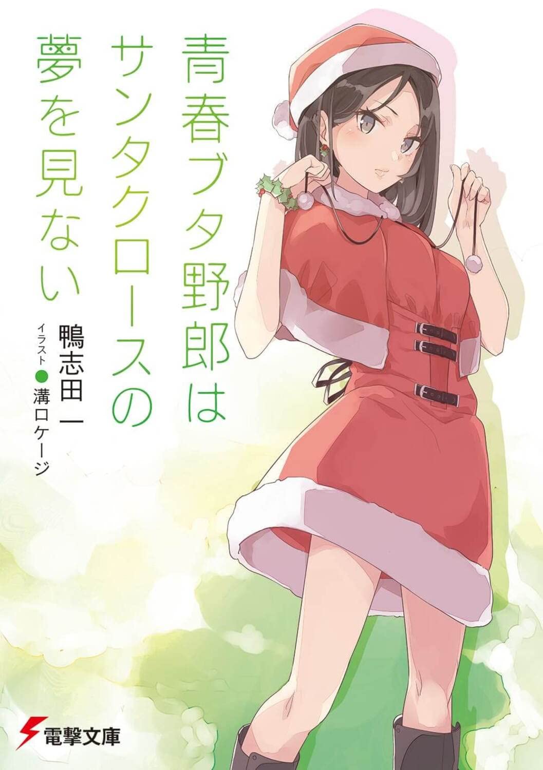 青春ブタ野郎はサンタクロースの夢を見ない - seishun buta yaro wa santa claus no yume wo minai (light novel) - Ảnh 2