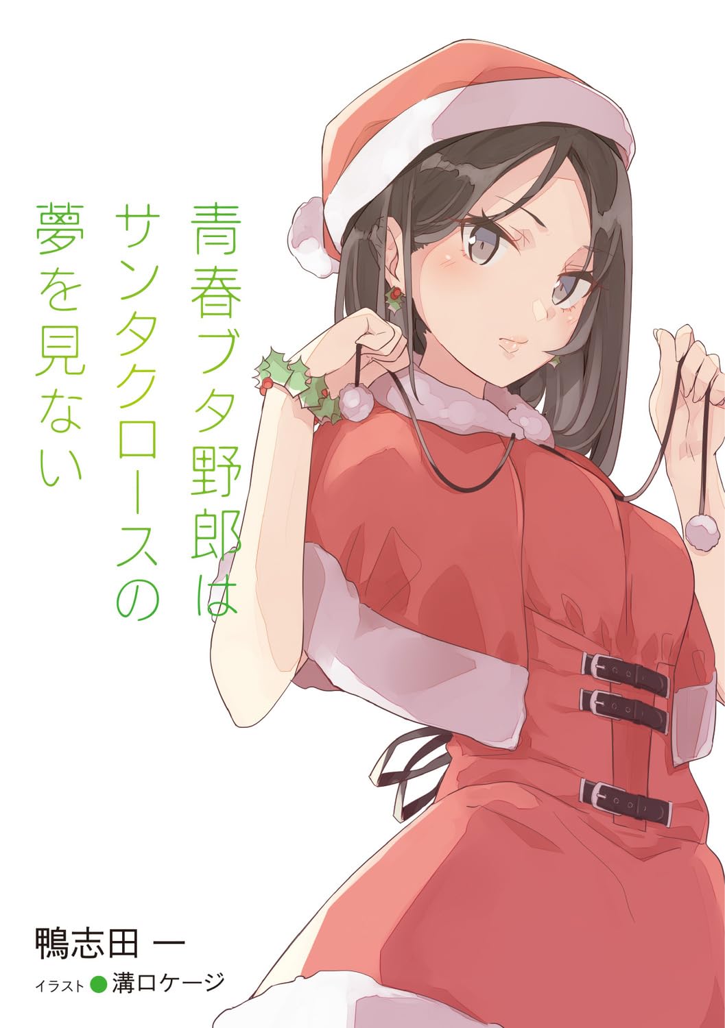 青春ブタ野郎はサンタクロースの夢を見ない - seishun buta yaro wa santa claus no yume wo minai (light novel) - Ảnh 3