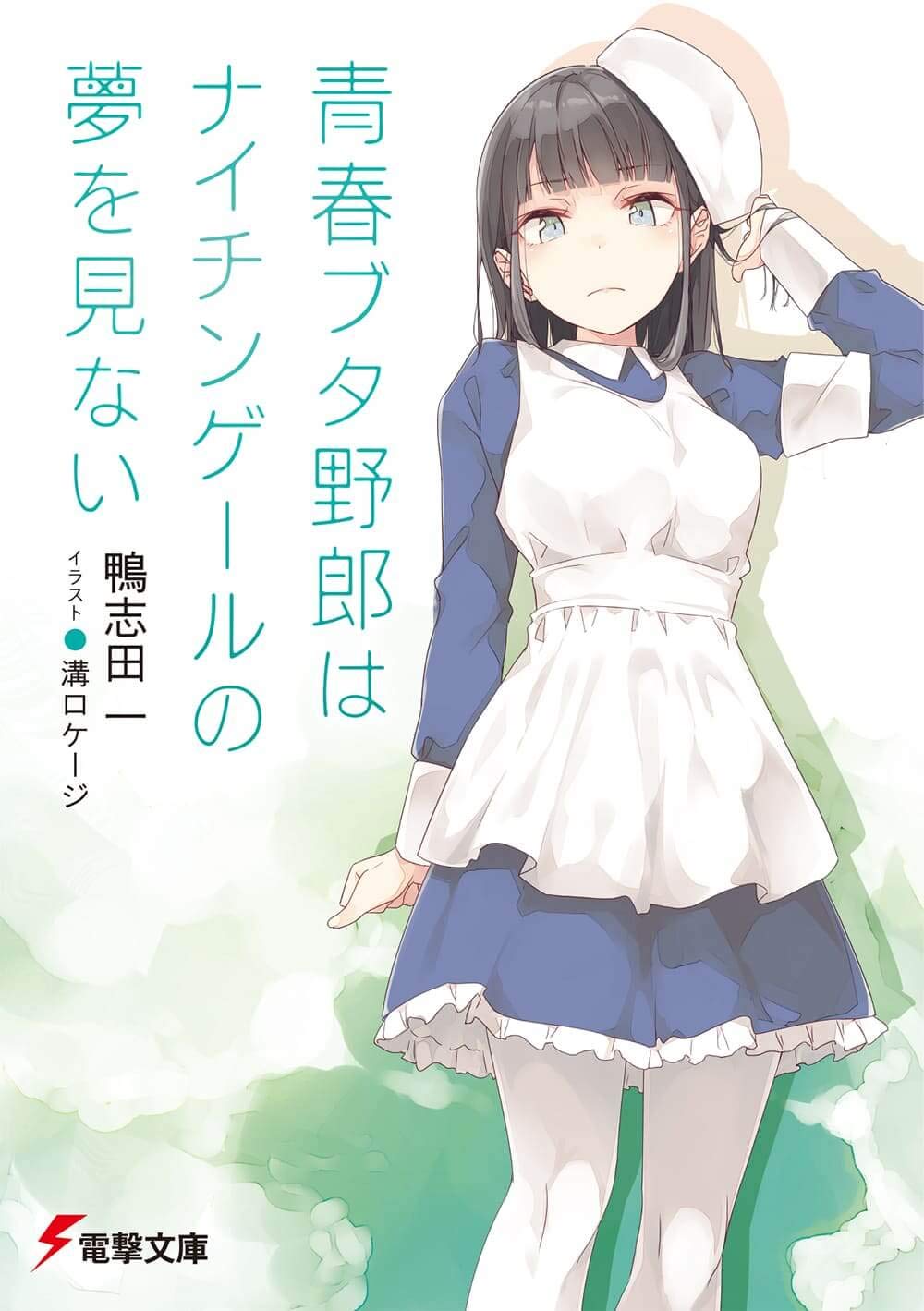 青春ブタ野郎はナイチンゲールの夢を見ない - seishun buta yaro wa naichingeru no yume wo minai (light novel) - Ảnh 2