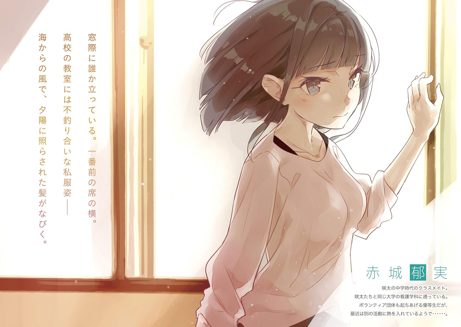青春ブタ野郎はナイチンゲールの夢を見ない - seishun buta yaro wa naichingeru no yume wo minai (light novel) - Ảnh 6