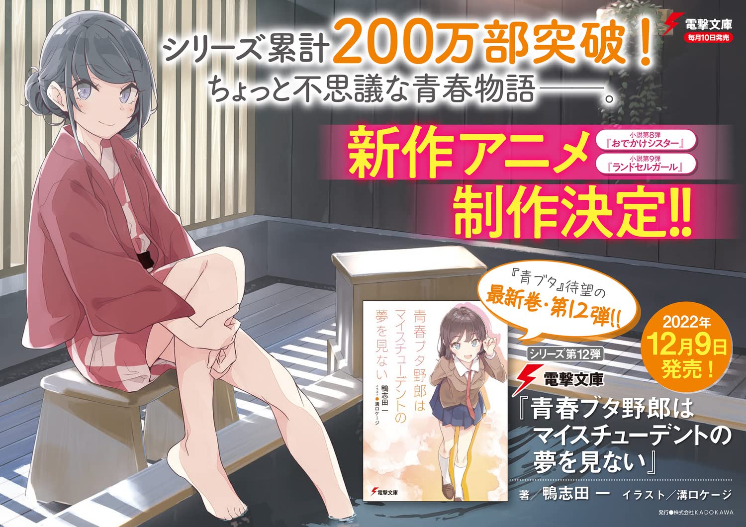 青春ブタ野郎はマイスチューデントの夢を見ない - seishun buta yaro wa my student no yume wo minai (light novel) - Ảnh 4