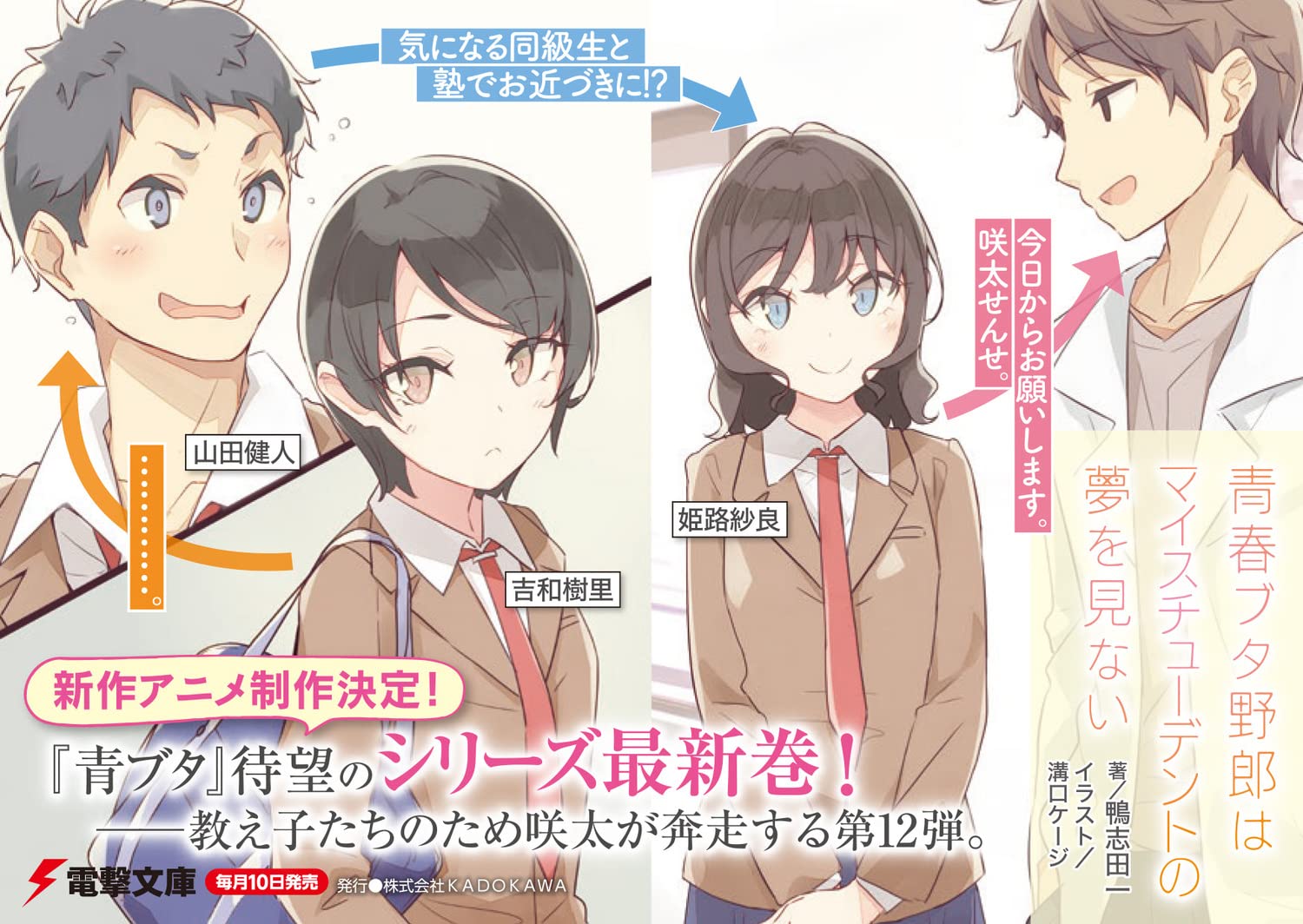 青春ブタ野郎はマイスチューデントの夢を見ない - seishun buta yaro wa my student no yume wo minai (light novel) - Ảnh 5