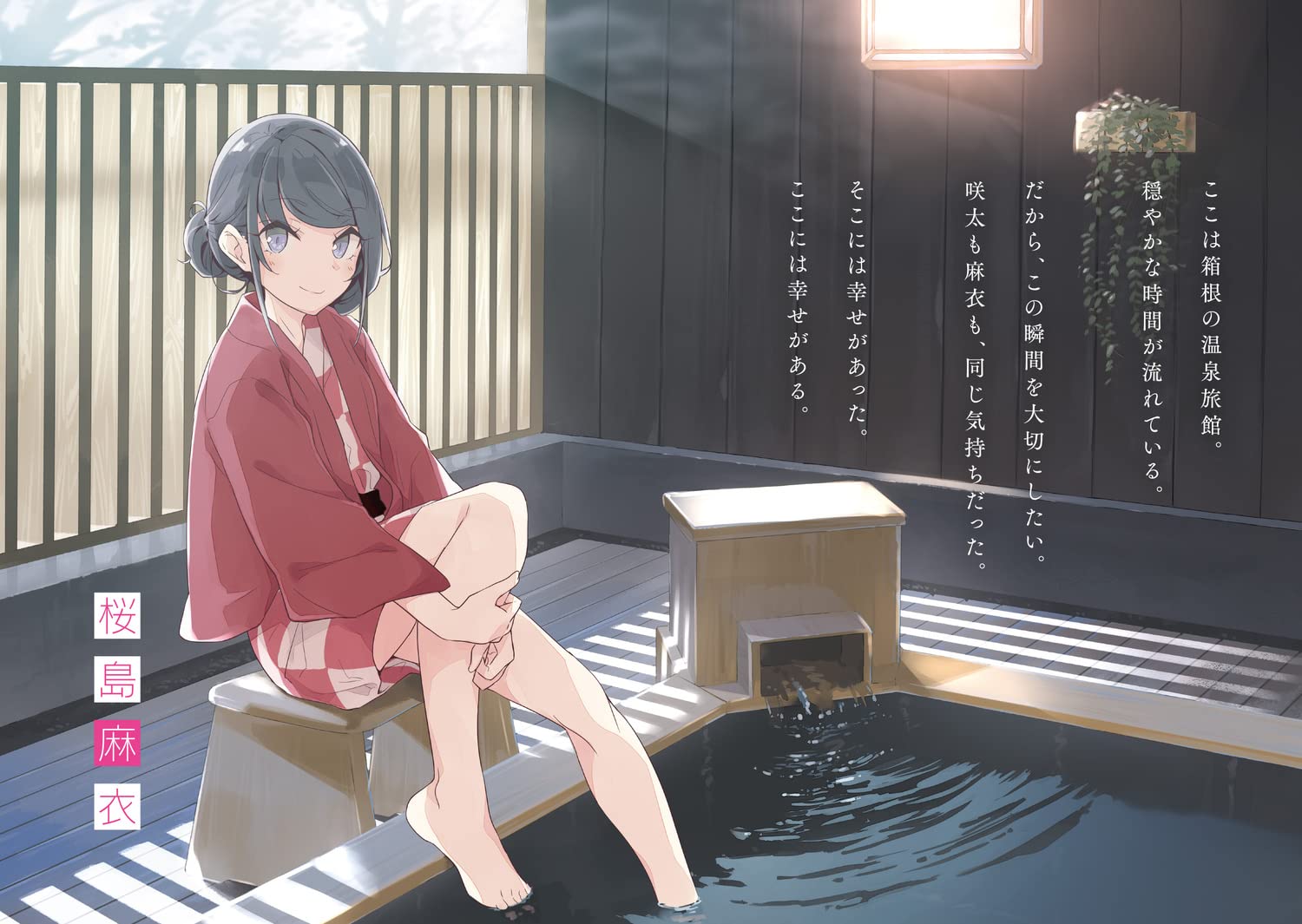 青春ブタ野郎はマイスチューデントの夢を見ない - seishun buta yaro wa my student no yume wo minai (light novel) - Ảnh 7