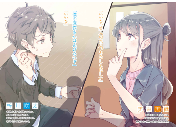 青春ブタ野郎は迷えるシンガーの夢を見ない - seishun buta yaro wa mayoeru singer no yume wo minai (light novel) - Ảnh 4