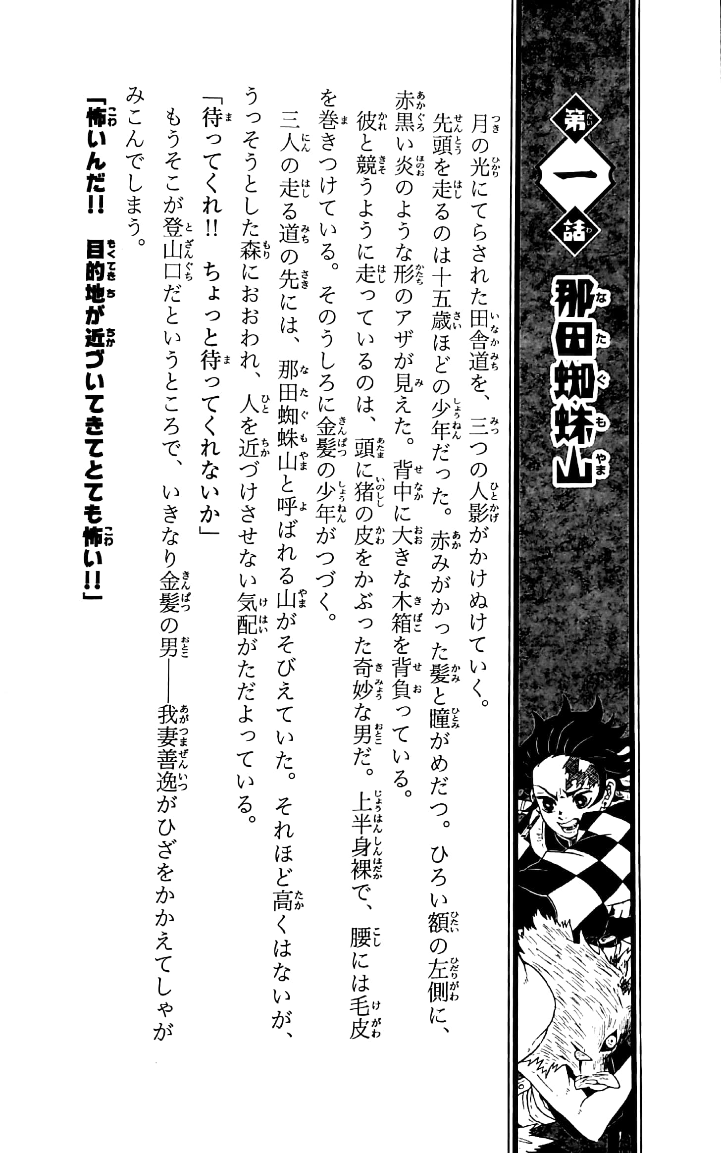 鬼滅の刃 ノベライズ ~ きょうだいの絆と鬼殺隊編 ~ kimetsu no yaiba noberaizu kyou dai no kizuna to oni - Ảnh 4