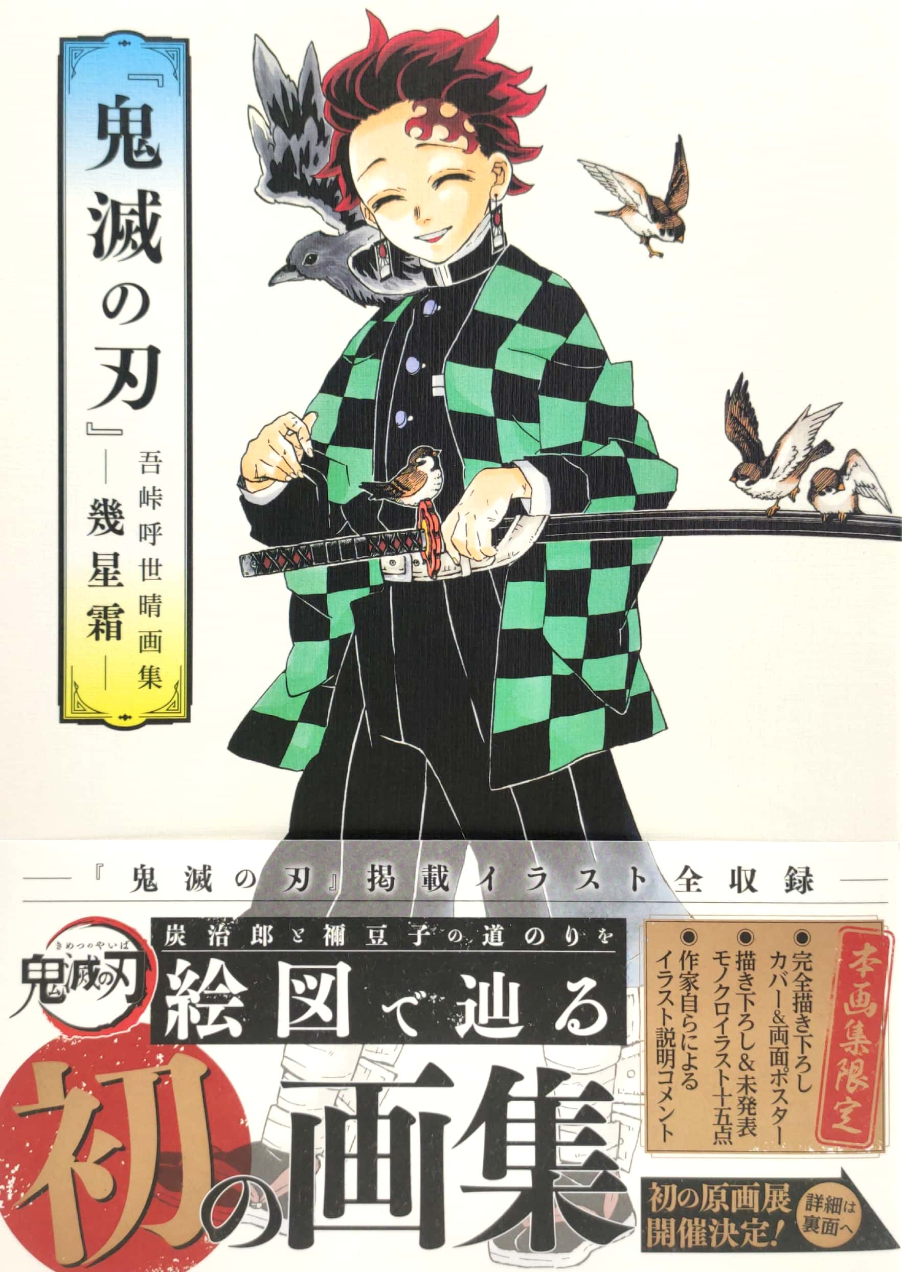 鬼滅の刃』吾峠呼世晴画集―幾星霜― “ kimetsu no yaiba ” waretouge ko yo hare gashuu - ikuseisou - - Ảnh 6