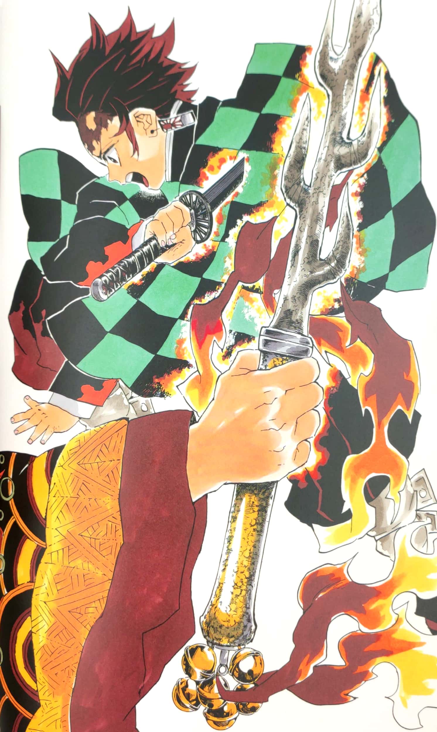 鬼滅の刃』吾峠呼世晴画集―幾星霜― “ kimetsu no yaiba ” waretouge ko yo hare gashuu - ikuseisou - - Ảnh 7