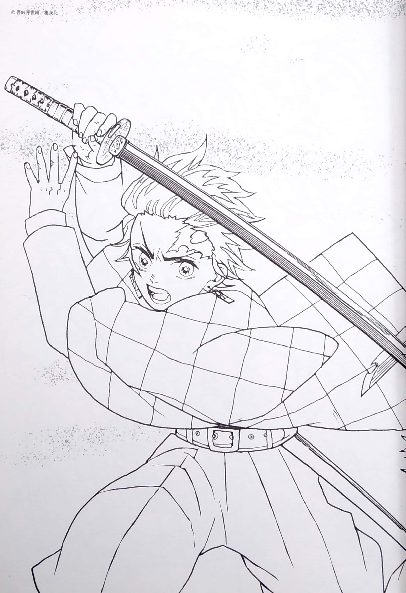 鬼滅の刃 塗絵帳 -蒼 kimetsu no yaiba nuriechou ao - Ảnh 5