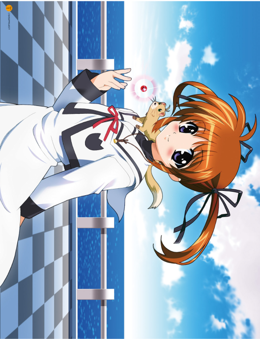 魔法少女リリカルなのは メモリアルビジュアルコレクション - Mahou Shoujo Ririkaruna No Wa Memoriarubijua - Magical Girl Lyrical Nanoha Memorial Visual Collection - Ảnh 4